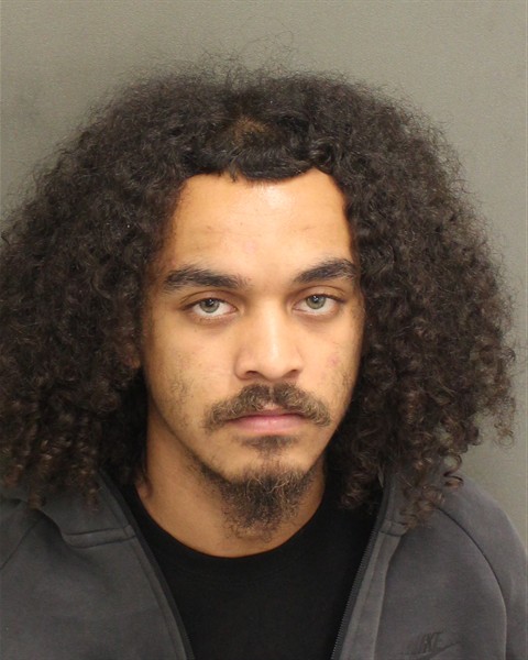  AIDEN MCHUGH Mugshot / County Arrests / Orange County Arrests