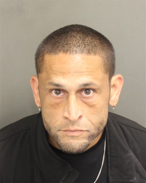  ORESTES ROGN ALEMAN Mugshot / County Arrests / Orange County Arrests
