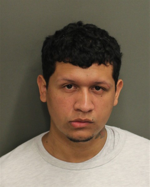  NARLIN CARBAJAL Mugshot / County Arrests / Orange County Arrests