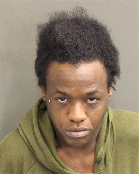  ALONNA RENEE LIGON Mugshot / County Arrests / Orange County Arrests