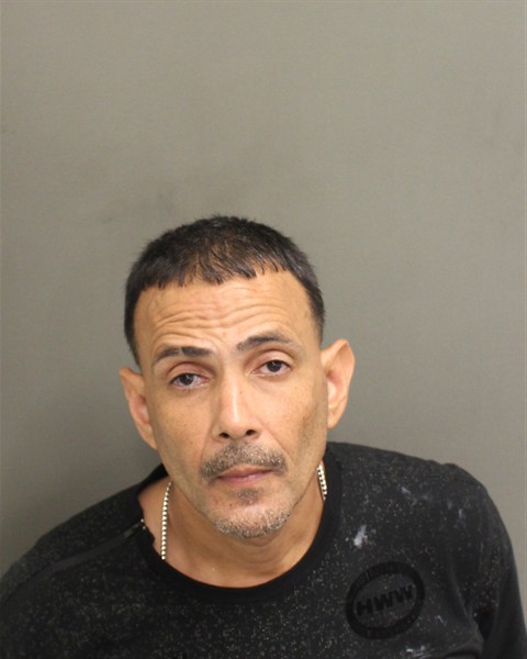  RICARDO REYES Mugshot / County Arrests / Orange County Arrests
