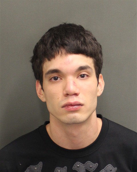  ROBERTO JOSE TINEOGAMARDO Mugshot / County Arrests / Orange County Arrests