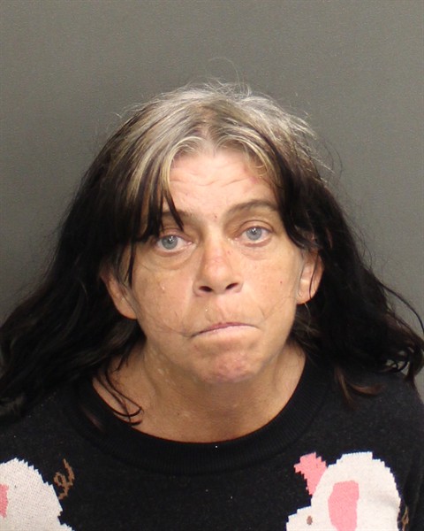  TINA BEATRICE MITCHELL Mugshot / County Arrests / Orange County Arrests