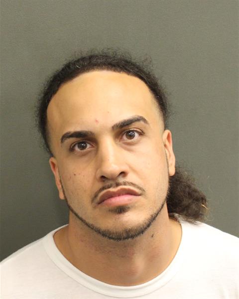  ANTHONY FRANK STAVALO Mugshot / County Arrests / Orange County Arrests