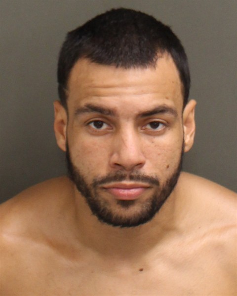  LUIS  JR ORTIZ Mugshot / County Arrests / Orange County Arrests