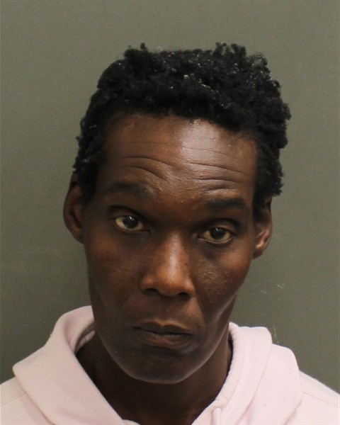  NATASHA NADEAN GRAY Mugshot / County Arrests / Orange County Arrests
