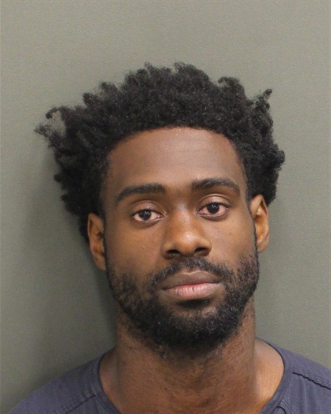  BRAIHNNY VIL Mugshot / County Arrests / Orange County Arrests