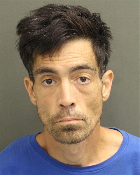  BRENT SHAWN LEE Mugshot / County Arrests / Orange County Arrests