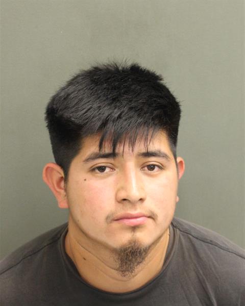  NELSON ANIBAL RAXXOL Mugshot / County Arrests / Orange County Arrests