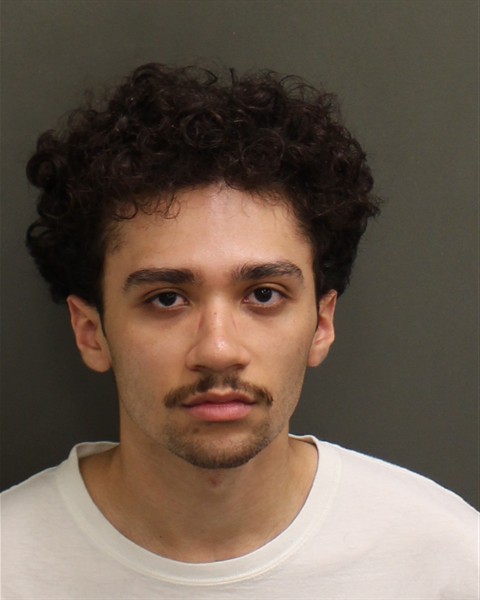  ALEXANDER DION ZSCHUSSCHEN Mugshot / County Arrests / Orange County Arrests