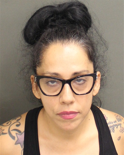  AGNES MARIE SABINO Mugshot / County Arrests / Orange County Arrests