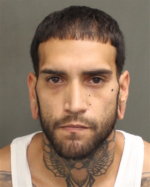  HECTOR I SANTOSROSARIO Mugshot / County Arrests / Orange County Arrests