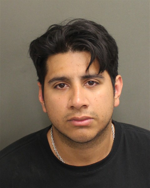  LUIS DAVID CASTROSUAREZ Mugshot / County Arrests / Orange County Arrests