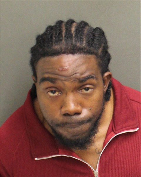  DAVID APPLING AKINES Mugshot / County Arrests / Orange County Arrests