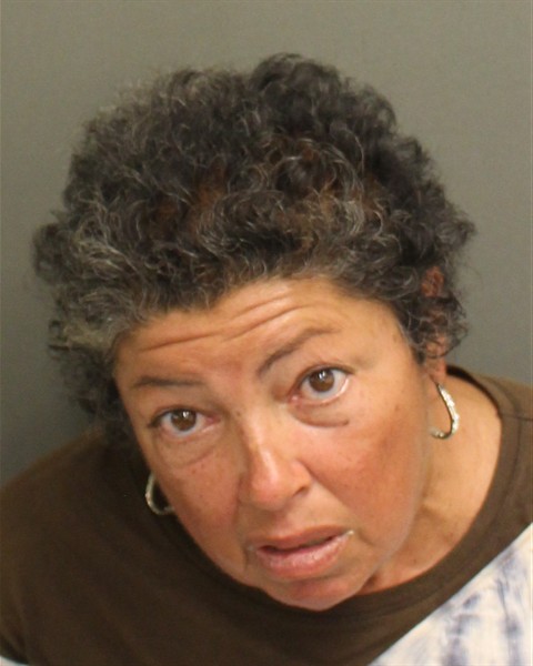  YOLANDA ORTIZRAMIREZ Mugshot / County Arrests / Orange County Arrests
