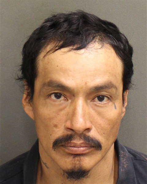  LEODAN TREJOCALVILLO Mugshot / County Arrests / Orange County Arrests