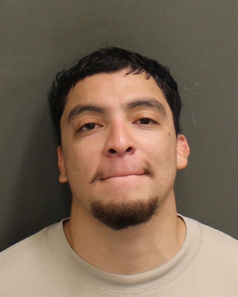  CARLOS JOSE ARCE Mugshot / County Arrests / Orange County Arrests