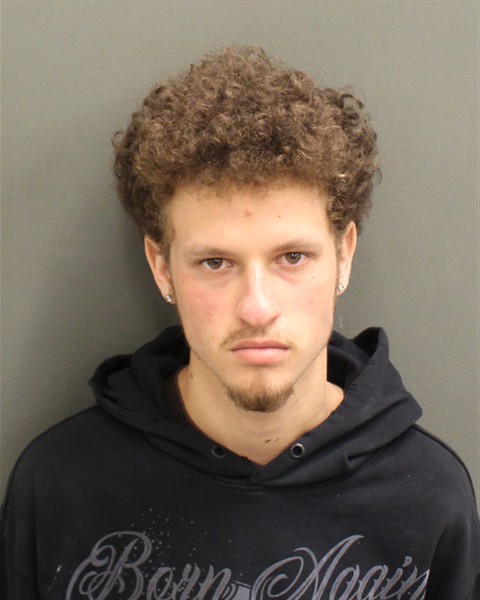  RILEY CHRISTOPHER OLIVERA Mugshot / County Arrests / Orange County Arrests