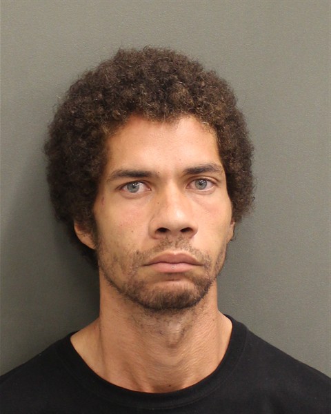  CHRISTOPHER MICHAEL STEVER Mugshot / County Arrests / Orange County Arrests