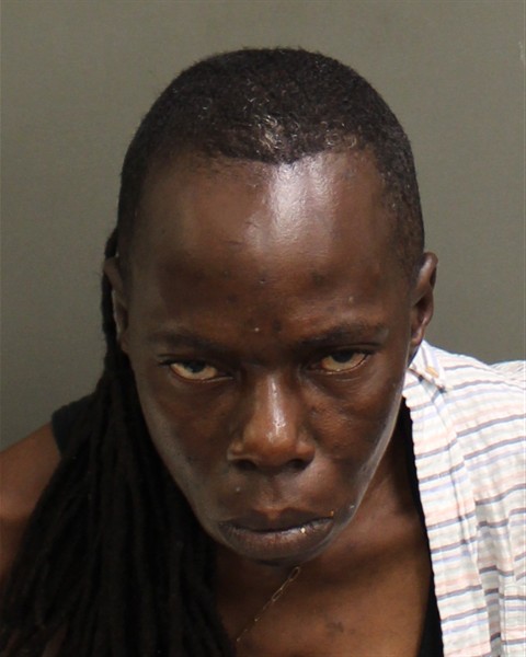  MARY LUCATE Mugshot / County Arrests / Orange County Arrests