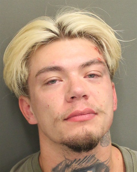  TYLER PAUL DAVIS Mugshot / County Arrests / Orange County Arrests