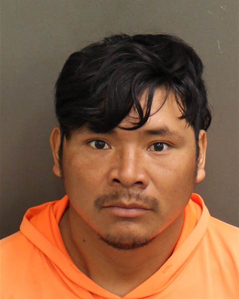  EFRAIN SALES RAMIREZ Mugshot / County Arrests / Orange County Arrests