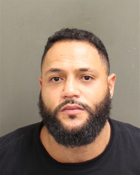  PIER VITTORIO ROSELLINI Mugshot / County Arrests / Orange County Arrests