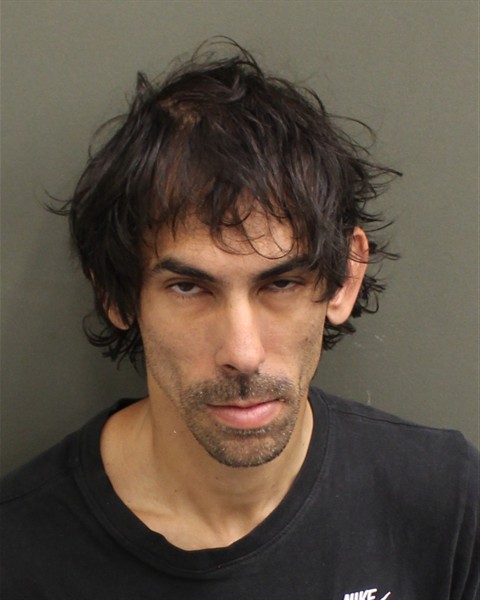  GIANNI FERNANDO VERDINI Mugshot / County Arrests / Orange County Arrests
