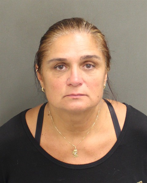  ANDREA RAICIK REINEHR Mugshot / County Arrests / Orange County Arrests