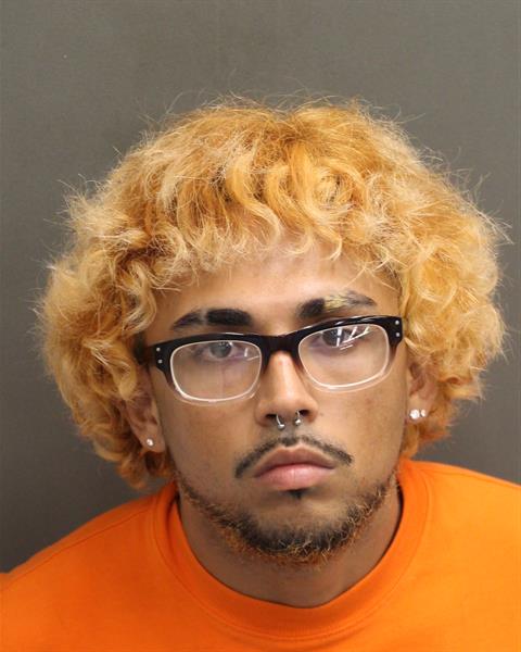  GAVEN REESE DECKER Mugshot / County Arrests / Orange County Arrests