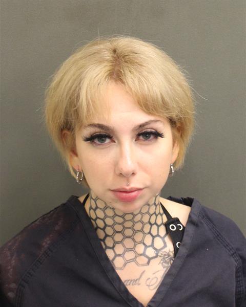  AMBER LYNN AMMON Mugshot / County Arrests / Orange County Arrests