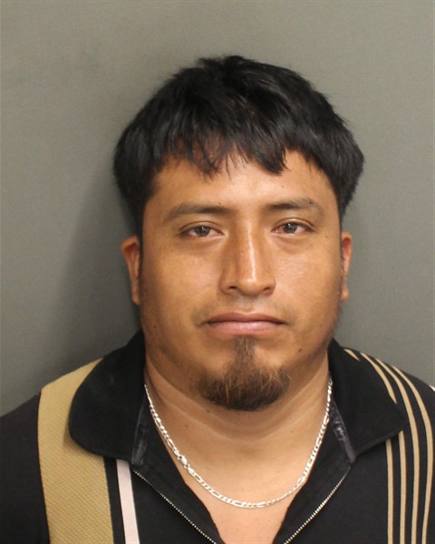  ONELIO D DOMINGOBRAVO Mugshot / County Arrests / Orange County Arrests