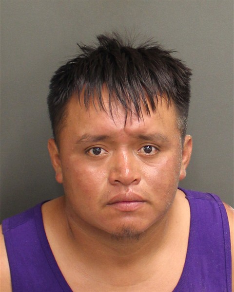  MARIO ELEUTERIO Mugshot / County Arrests / Orange County Arrests