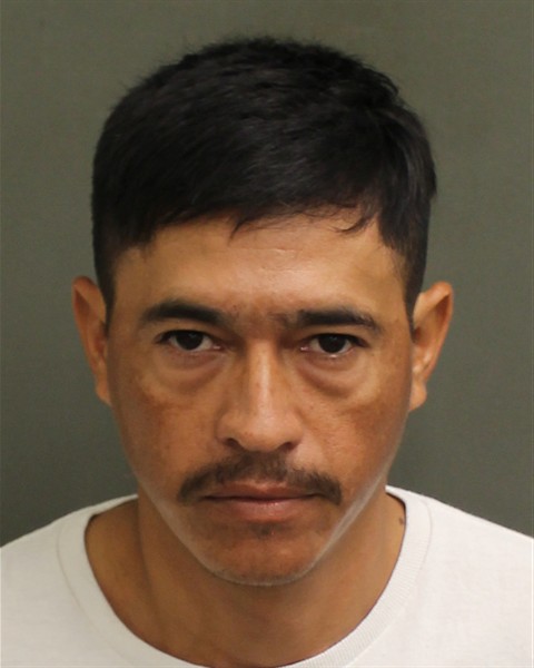  HERMINIO AVALOS AMARAL Mugshot / County Arrests / Orange County Arrests