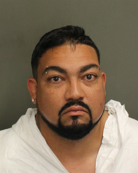  PEDRO JUAN ORTIZMALAVE Mugshot / County Arrests / Orange County Arrests