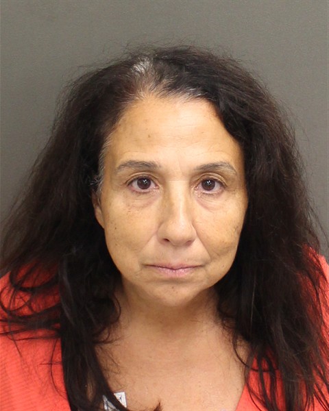  LISA PETRINA FISHER Mugshot / County Arrests / Orange County Arrests