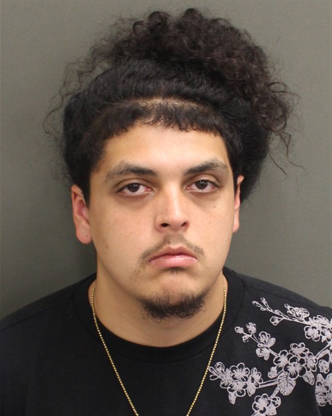  CHRISTAIN MANUEL LEBRONNERIA Mugshot / County Arrests / Orange County Arrests