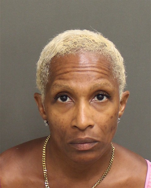 TONDA SCHATOVA PHILLIPS Mugshot / County Arrests / Orange County Arrests