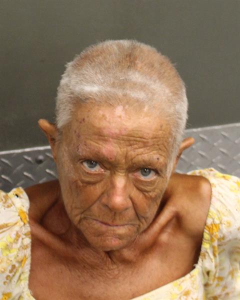  MARILYN E FERSTL Mugshot / County Arrests / Orange County Arrests