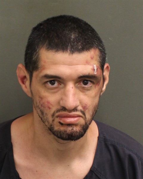  LAZARO VELA Mugshot / County Arrests / Orange County Arrests