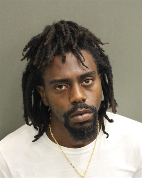  LUC DENNIS PIERRE Mugshot / County Arrests / Orange County Arrests