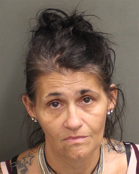  ERIKA LYNN WILLIS Mugshot / County Arrests / Orange County Arrests
