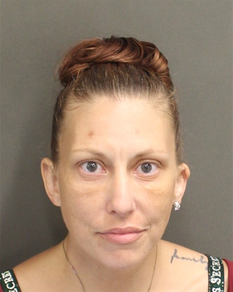 SARAH FAYE HAMILTON Mugshot / County Arrests / Orange County Arrests