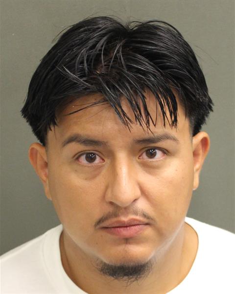  LUIS DAVID ALVAREZPEREZ Mugshot / County Arrests / Orange County Arrests