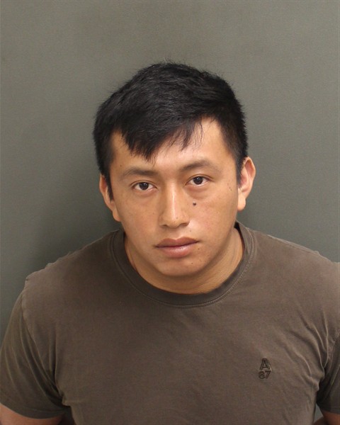 RONALDO WALTER CUCUL ACTE Mugshot / County Arrests / Orange County Arrests