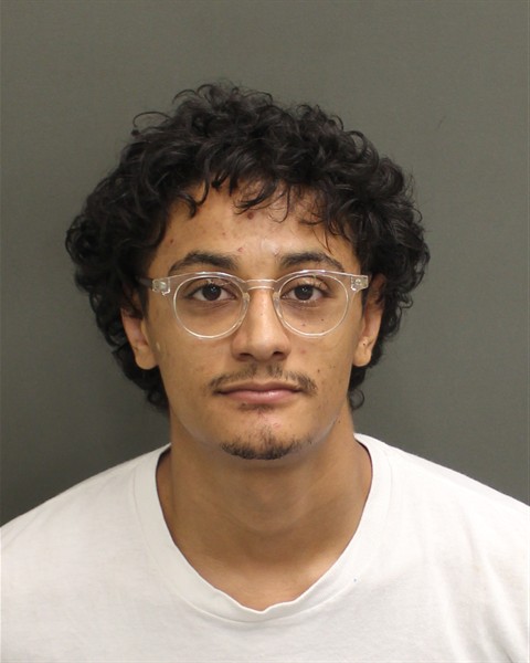  AUBRY CHRISTIAAN RAMEAU Mugshot / County Arrests / Orange County Arrests