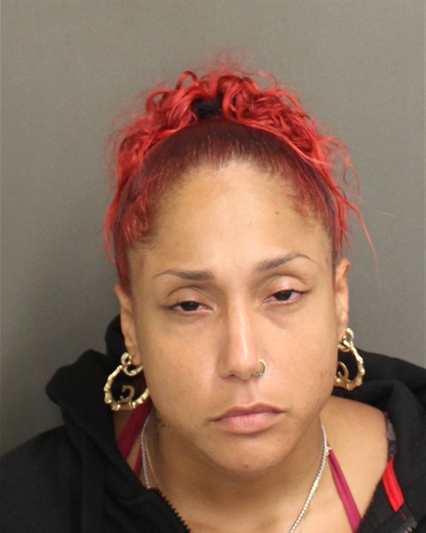  CHRISTINA RIVERA Mugshot / County Arrests / Orange County Arrests