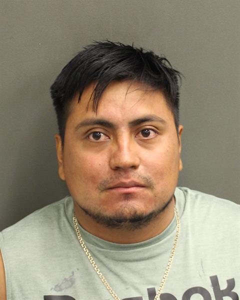  LUIS ALBERTO CRUZNINO Mugshot / County Arrests / Orange County Arrests