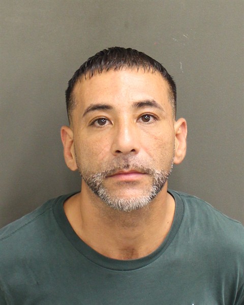  RICARDO CORREAMARIN Mugshot / County Arrests / Orange County Arrests