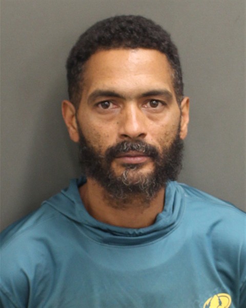  SHANNON RONELL SIMONS Mugshot / County Arrests / Orange County Arrests